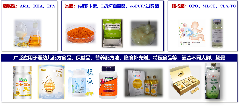 5.6功能性脂质生物合成.png