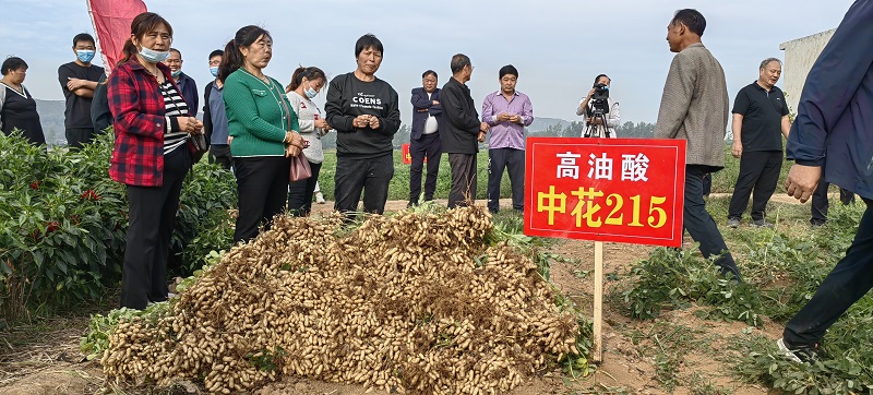 2.2中花215.jpg