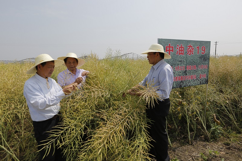 1.2中油杂19.jpg